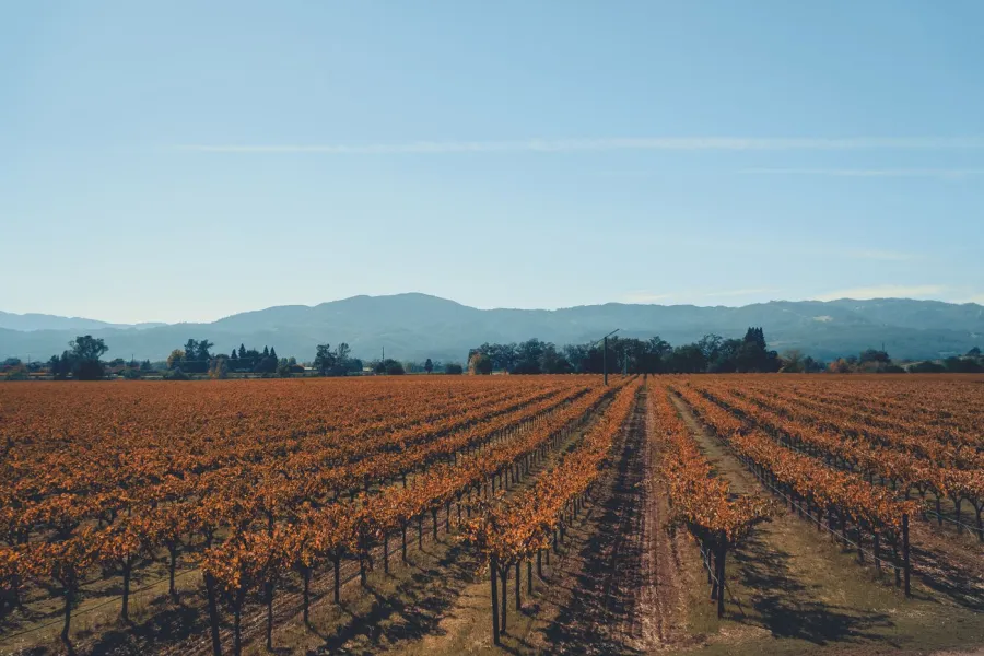 Paisagem de campo e vinhedos em Napa Valley